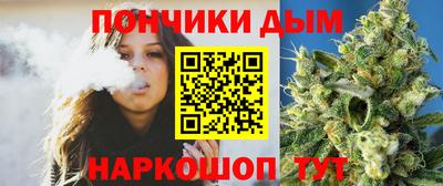 сатива Краснознаменск