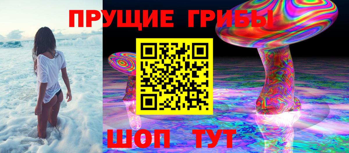 Кингисепп  Псилоцибиновые грибы MAGIC MUSHROOMS  где купить наркоту  Вход с VPN 